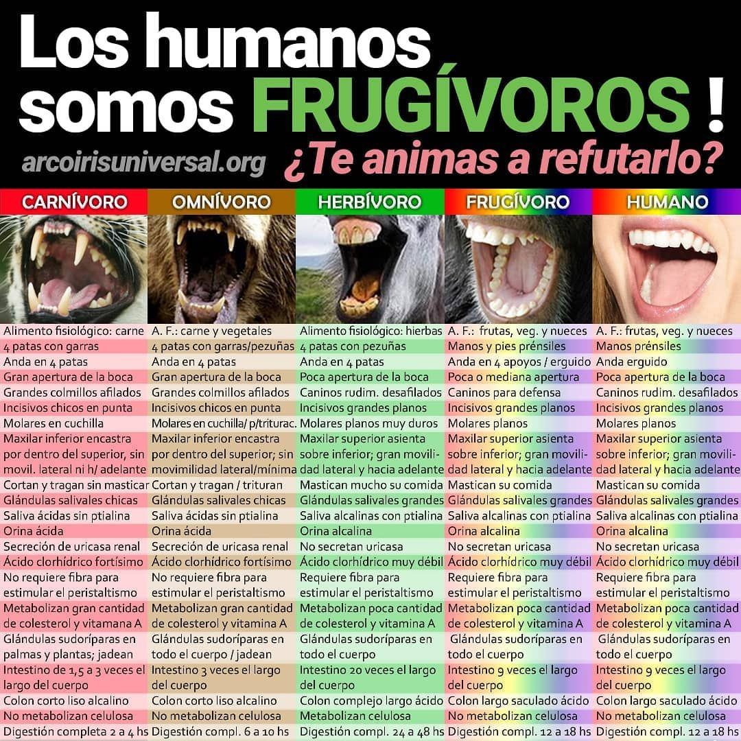 Composición de frutas variadas